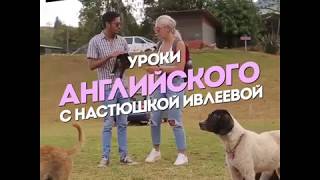 Уровень английского  Настя Ивлеева 😂 [upl. by Levey]