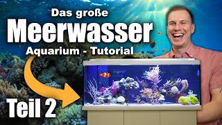 Das Meerwasseraquarium TUTORIAL Teil 2  Fische Wasserwerte Dosierung LOWBUDGET [upl. by Nedrah]