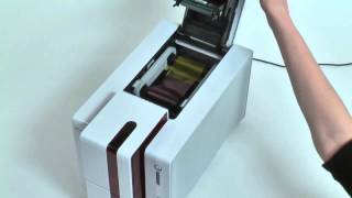 Evolis Primacy ID Card Printer Quick Installation Guide [upl. by Andri]