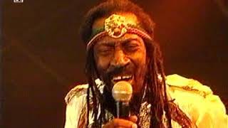 Bunny Wailer Live At Chiemsee Reggae Summer 2001 [upl. by Aleck]