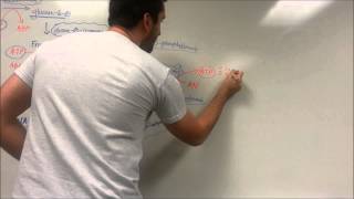 Easy Glycolysis Pathway [upl. by O'Hara]