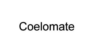 How To Pronounce Coelomate [upl. by Lenzi]