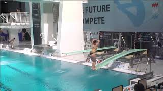 Girls A 1m preliminary  Eindhoven Diving Cup 2024 [upl. by Igor]