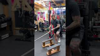 DIY belt squats using the tbar row platform amp community advice shorts [upl. by Klayman998]