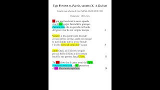 Ugo Foscolo quotA Zacintoquot 1803 quotPoesiequot sonetto IX  lettura parafrasi e commento della poesia [upl. by Keyte]