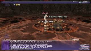 Nasomi Server FFXI Maat Fight BST lvl 67 [upl. by Williams403]