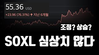 SOXL ETF 전망 지금은 이렇게 대응하세요 [upl. by Nawotna]