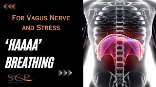 Haaaa Breathing For Vagus Nerve And Stress [upl. by Dnama906]