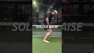 Soleus Raise for Achilles Tendinitis [upl. by Erusaert]