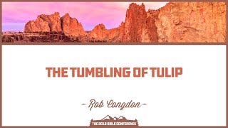 Rob Congdon The Tumbling of TULIP [upl. by Cyprian727]