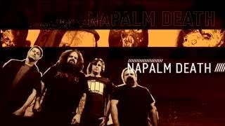 Napalm Death  Live Rock Al Parque 2016 Full Show [upl. by Allets]