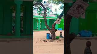 ervadi dargah ibrahimbadushamakhamshorts plz sub my channel [upl. by Yoshio]