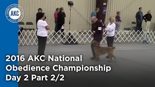 National Obedience Championship 2016 Day 2 Part 22 [upl. by Ikila]