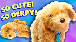 Hes Realistic and Weird  Moji the Lovable Labradoodle Review [upl. by Socram]