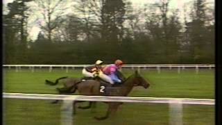 1993 Reynoldstown Novices Chase [upl. by Rehteh]