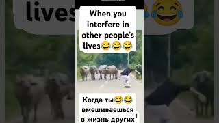 When you interfere in other peoples livesfunny video [upl. by Beebe974]