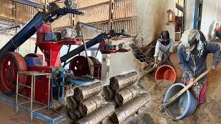 How Biomass Briquettes Are Made In Factory How To Make Biomass Briquettes [upl. by Gregorio]