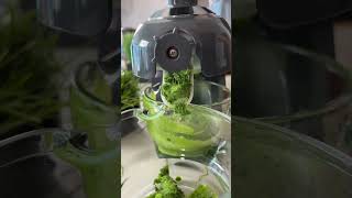 Wheatgrass juice benefits and how it helps for weight loss [upl. by Ellerey665]