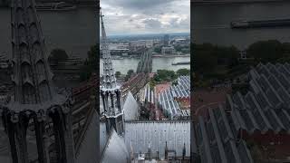 Tower view of train crossing the Rhine in Koln europeantrain trainspotter [upl. by Noyrb]