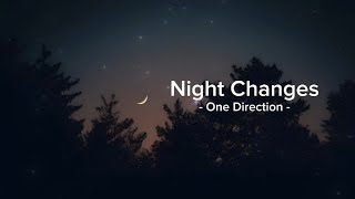 Night Changes  One Direction Lyrics [upl. by Irrabaj]