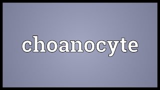 Choanocyte Meaning [upl. by Yerffoej]