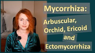 Mycorrhiza Arbuscular Orchid Ericoid and Ectomycorrhiza Characteristics and Features [upl. by Adnahsed]