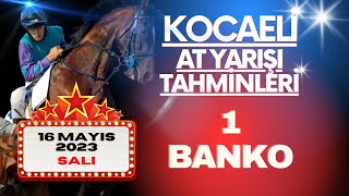 16 Mayıs 2023 Salı Kocaeli At Yarışı Tahminleri [upl. by Yroger879]