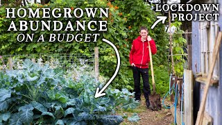 Impressive Vegetable Garden amp Permaculture Food Forest Created During Lockdown [upl. by Andrel986]