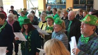 Instant Choir  St Patricks’s Day  March 16 2019 [upl. by Llirpa359]