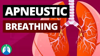 Apneustic Breathing Medical Definition Quick Explainer Video [upl. by Wakefield]