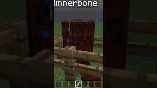 Minecraft Dinnerbone [upl. by Aynotal]