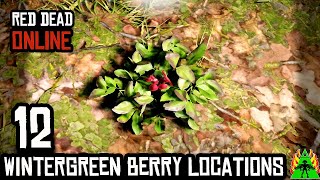 Red Dead Redemption 2 Online  WINTERGREEN BERRY LOCATIONS [upl. by Notsirb]