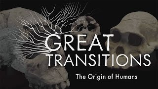 Great Transitions The Origin of Humans — HHMI BioInteractive Video [upl. by Yuzik]