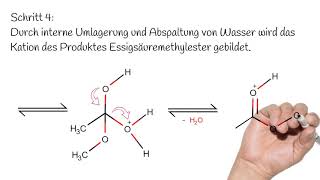 Die säurekatalysierte Veresterung  Reaktionsmechanismus  Organische Chemie [upl. by Sseb]