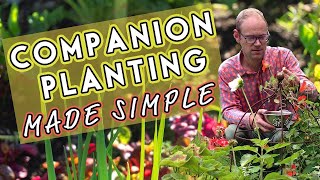 Why Vegetables Need Friends Companion Planting Made Simple 🌺 [upl. by Ardnovahs]