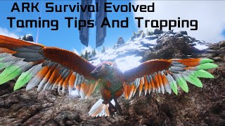 ARGENTAVIS TAMING Tips And TrappingARK Survival Evolved [upl. by Alekal603]