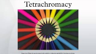 Tetrachromacy [upl. by Aynor]