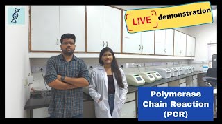 Polymerase Chain Reaction PCR Live demonstration Practical process for PCR [upl. by Bissell219]