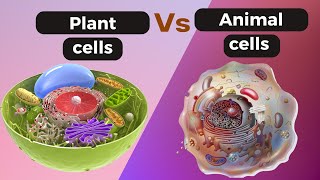 Difference between plant and animal cell Plant Vs animal cell under microscope Plant Vs animal cell [upl. by Ennaed]