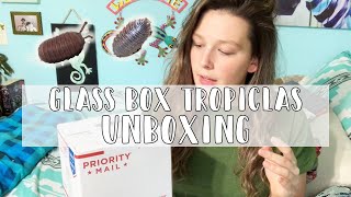 Glass Box Tropicals Isopod Unboxing amp Review [upl. by Eugor76]