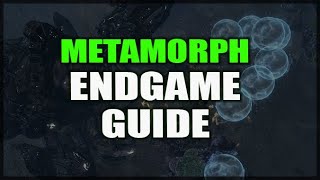 PATH of EXILE Metamorph ENDGAME Mechanics Guide  How to Farm Unique Organs [upl. by Nivra564]