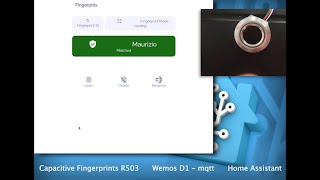 Capacitive fingerprints R503 Wemos D1 mini Mqtt Home Assistant [upl. by Naiva]