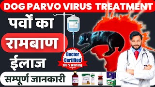 पार्वो वायरस का घरेलू ईलाज कैसे करे  Dog Parvovirus Treatment At Home  Dogs  Puppies In Hindi [upl. by Zolner]