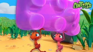 The Gummy Bear Heist  🐛 Antiks amp Insectibles 🐜  Funny Cartoons for Kids  Moonbug [upl. by Ecinhoj590]