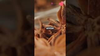 Benefits of Anise [upl. by Xel]