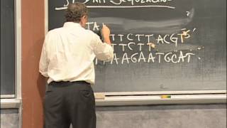 Agarose Gel Electrophoresis DNA Sequencing PCR Excerpt 1  MIT 701SC Fundamentals of Biology [upl. by Corel299]