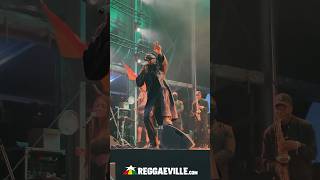 Stonebwoy  Reggae Geel 2024 [upl. by Ahsratal]