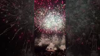 Beautiful Firework 🎆 😍 france toulouse fireworks reels shorts [upl. by Airetnahs790]