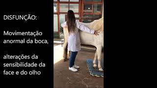 SEMIOLOGIA VETERINÁRIA  EXAMES DO SISTEMA NERVOSO [upl. by Hamitaf]