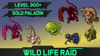 Wild Life Raid  Solo Paladin Hunt 300 [upl. by Havens857]